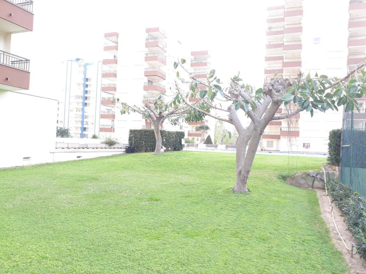 Valldigna 7 Playa De Gandia Solo Familias Dış mekan fotoğraf