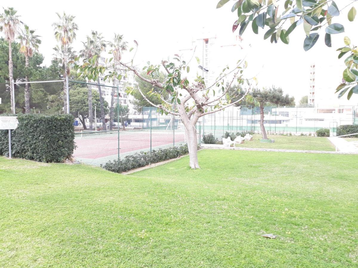 Valldigna 7 Playa De Gandia Solo Familias Dış mekan fotoğraf