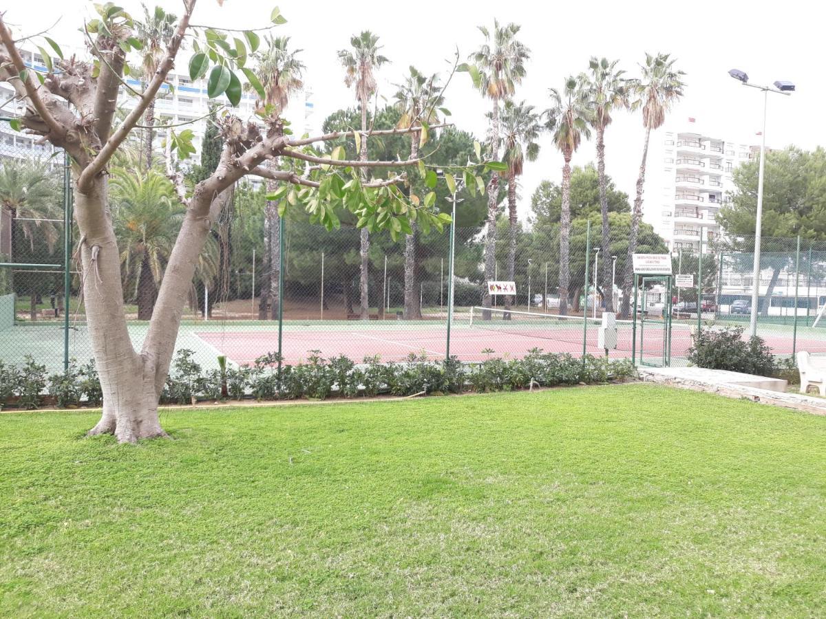 Valldigna 7 Playa De Gandia Solo Familias Dış mekan fotoğraf