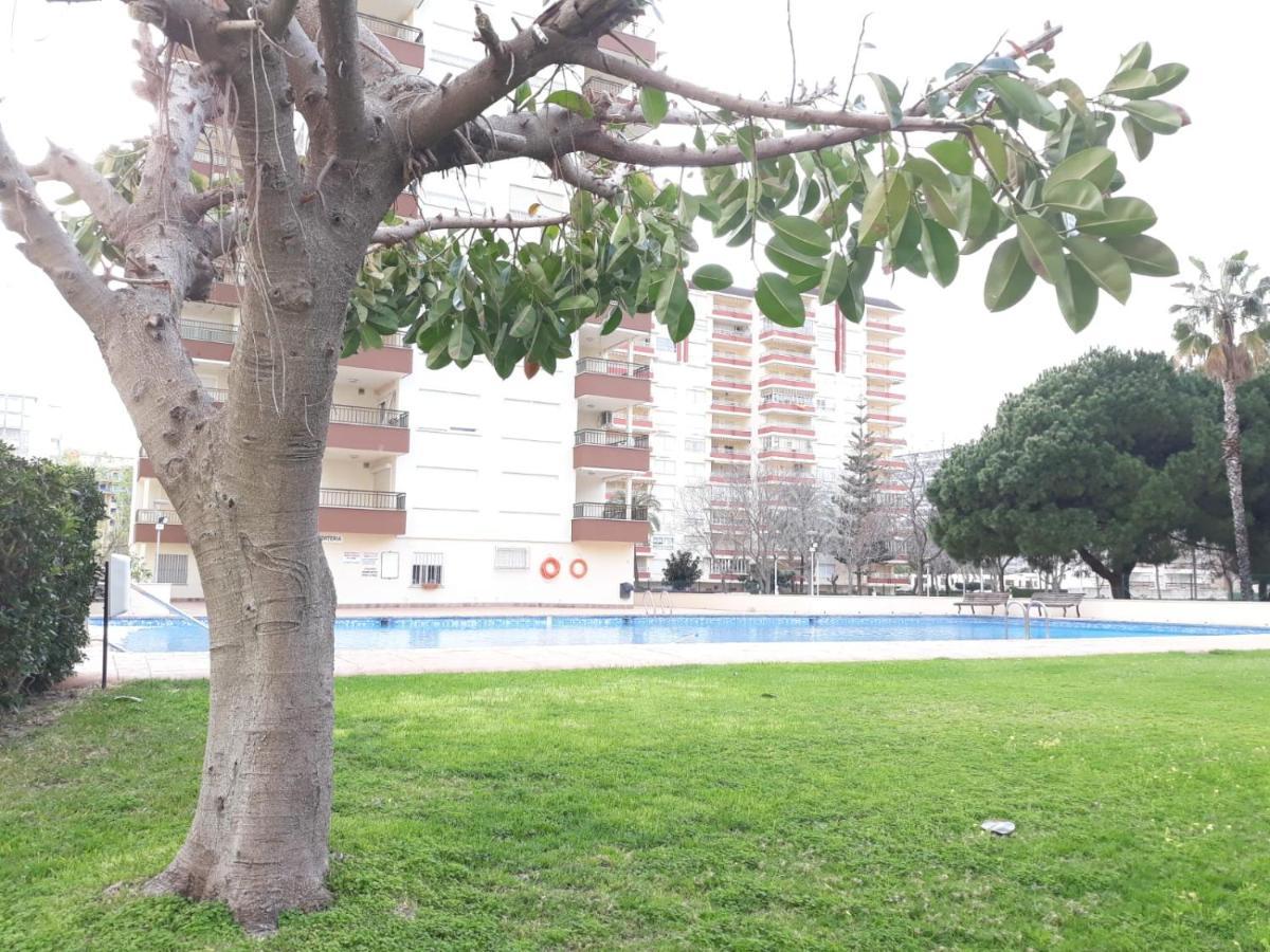 Valldigna 7 Playa De Gandia Solo Familias Dış mekan fotoğraf